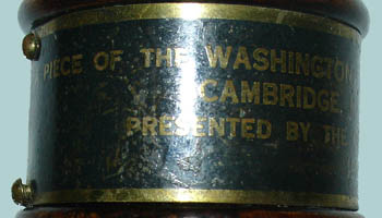 Washington Elm Tree Relic Wood Presentation Gavel mallet head