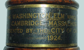 Washington Elm Tree Relic Wood Presentation Gavel mallet head