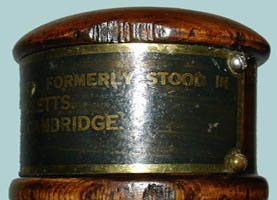 Washington Elm Tree Relic Wood Presentation Gavel mallet head