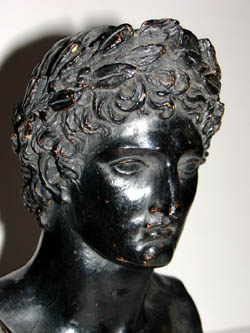 Bust Pair