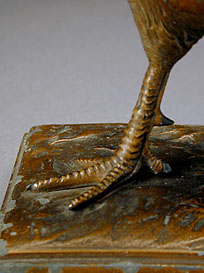 detail