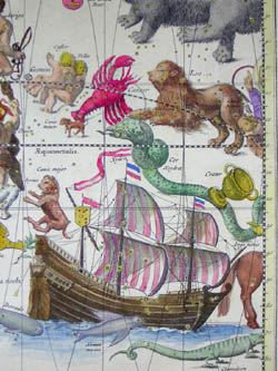 Sterre Carte