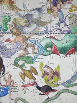 Sterre Carte