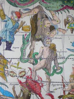 Sterre Carte