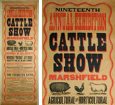 Cattle Show Poster