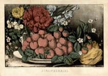 Currier and Ives Strawberries