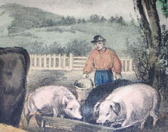 Farmers Friends