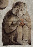 Jocko monkey print