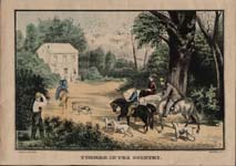 Summer in the Country