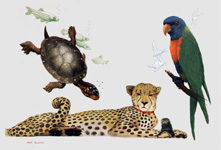 Hunter's Pets of the World