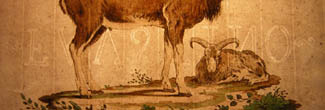 Allesandri