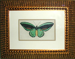framed view