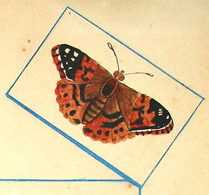detail