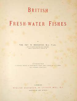 Houghton Fish