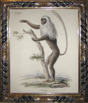 Framed print