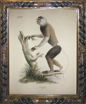 Framed print