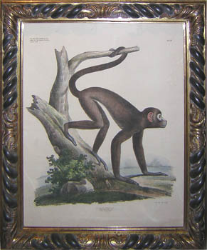 Framed print
