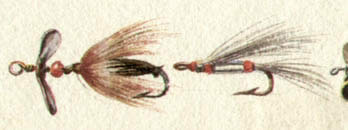 Liedl Bass