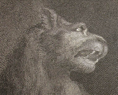 Lions at Play detail
