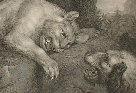 Lions at Play detail