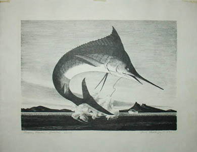 Gualtieri Shells