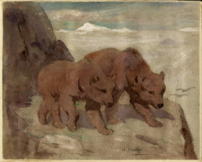 Brown Bears
