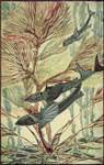 Seguy Pair of Sea Life Prints
