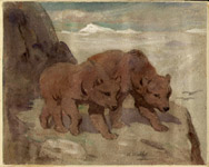 Walls Bears