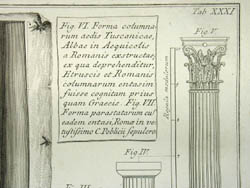Detail of columns