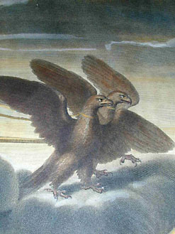 detail