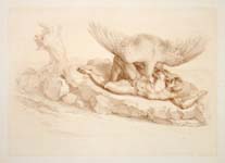 Prometheus