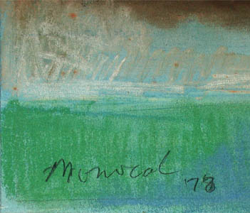 Pillow Watercolor by Richard A. de Menocal