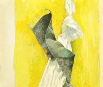 Pillow Watercolor by Richard A. de Menocal
