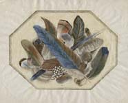 Feathers