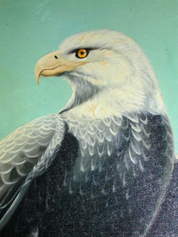 Head Detail