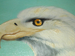 Face Detail