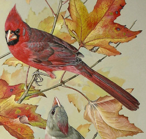 Detail of cardinals