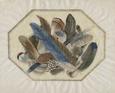 Feathers