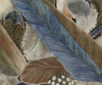 Feathers