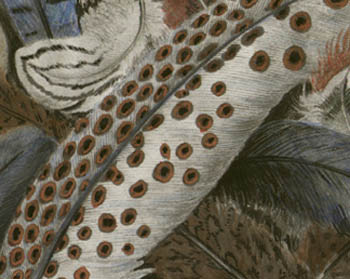 Feathers
