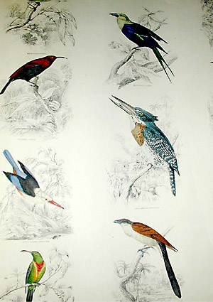 detail