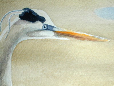 detail