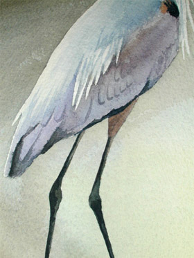 detail