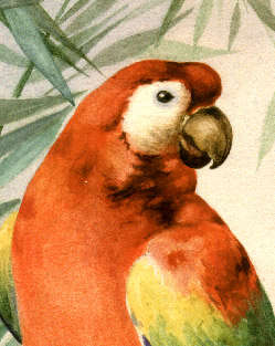 detail