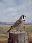 Steffen Folk Art Painting