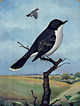 Steffen Folk Art Painting