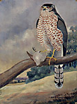 Steffen Folk Art Painting