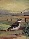 Steffen Folk Art Painting