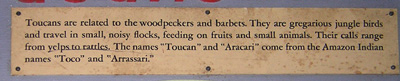 Toucan Plaque