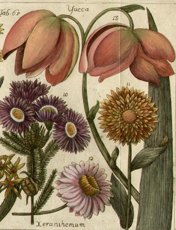Detail